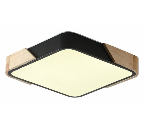 Накладной светильник Zortes ALBERRO ZRS.01281.48