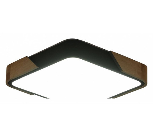 Накладной светильник Zortes ALBERRO ZRS.01281.48