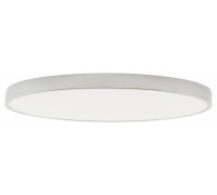 Светильник накладной Zortes Tortty ZRS.02565.120