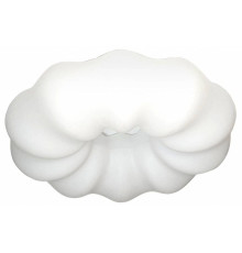 Накладной светильник Zortes SOFT ZRS.1118.4