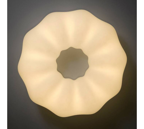 Накладной светильник Zortes SOFT ZRS.1118.4