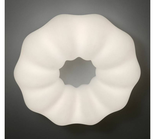 Накладной светильник Zortes SOFT ZRS.1118.4