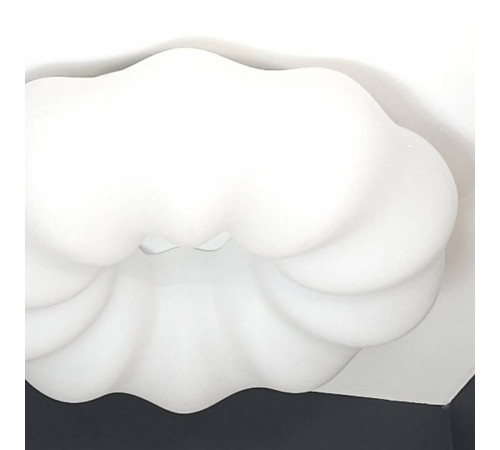 Накладной светильник Zortes SOFT ZRS.1118.4