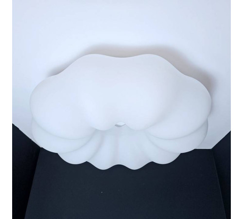 Накладной светильник Zortes SOFT ZRS.1118.4