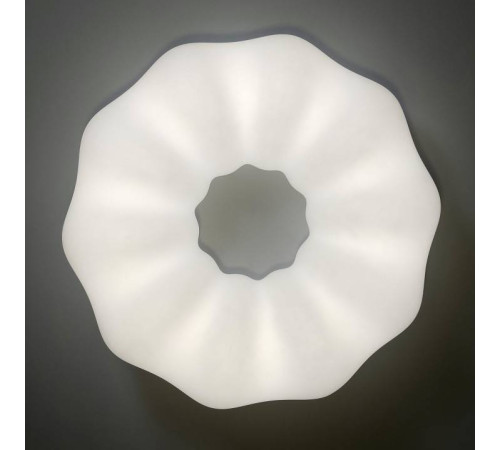 Накладной светильник Zortes SOFT ZRS.1118.4