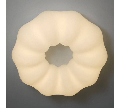 Накладной светильник Zortes SOFT ZRS.1118.4