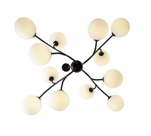 Люстра на штанге Zortes Blo ZRS.1178.12