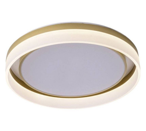 Накладной светильник Zortes Adel ZRS.1200.01