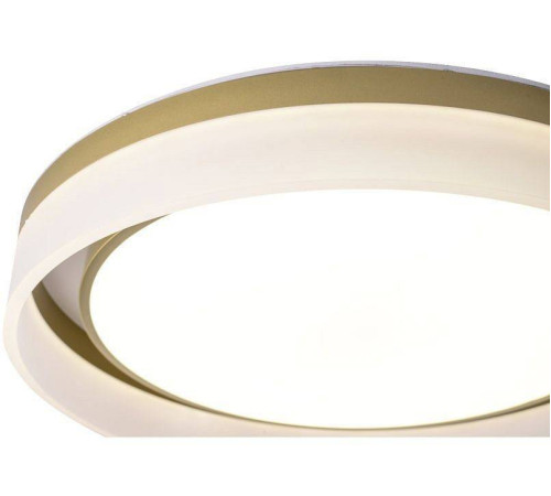 Накладной светильник Zortes Adel ZRS.1200.01