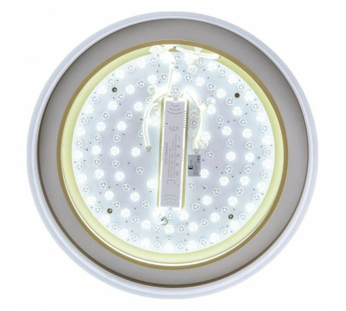 Накладной светильник Zortes Adel ZRS.1200.01