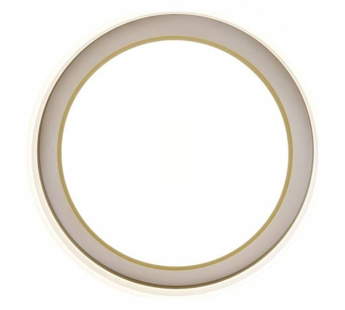 Накладной светильник Zortes Adel ZRS.1200.01