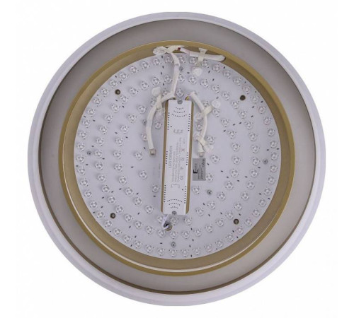 Накладной светильник Zortes Adel ZRS.1200.01