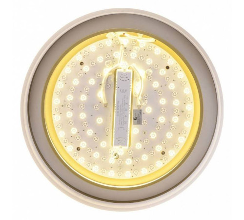 Накладной светильник Zortes Adel ZRS.1200.01