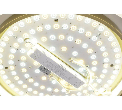 Накладной светильник Zortes Adel ZRS.1200.01