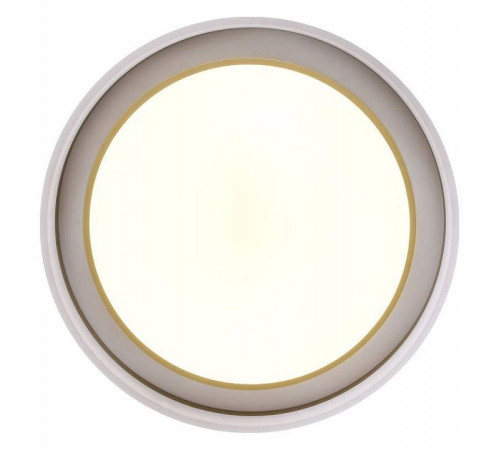 Накладной светильник Zortes Adel ZRS.1200.01