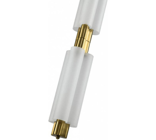 Подвесной светильник Zortes Algoda ZRS.1777.02