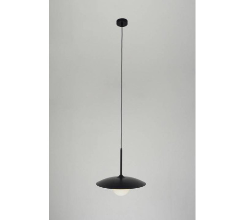 Подвесной светильник Zortes Lümi ZRS.2436.40