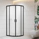 Душевой уголок RGW CL-56B 900x900 мм полукруглый черный прозрачное стекло 06095699-44