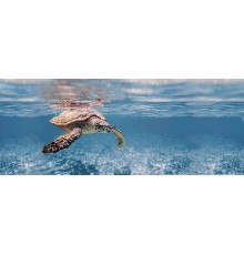 Декор Ceradim Ocean Turtle 20х50 см х9999079975