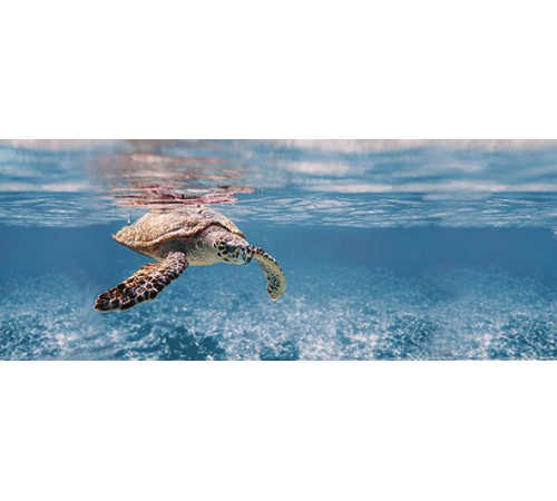 Декор Ceradim Ocean Turtle 20х50 см х9999079975