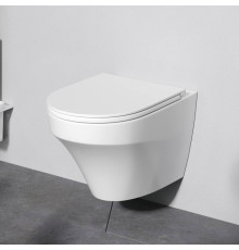 Унитаз подвесной AM.PM Inspire V2.0 безободковый FlashClean без сиденья C501700WH