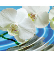 Панно из 2-х плиток Cerrol Water Garden A 60х50 см х9999068633