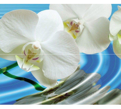 Панно из 2-х плиток Cerrol Water Garden A 60х50 см х9999068633
