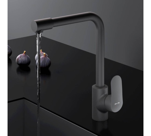 Смеситель для кухни AM.PM Like с каналом для питьевой воды L-излив черный F8005722