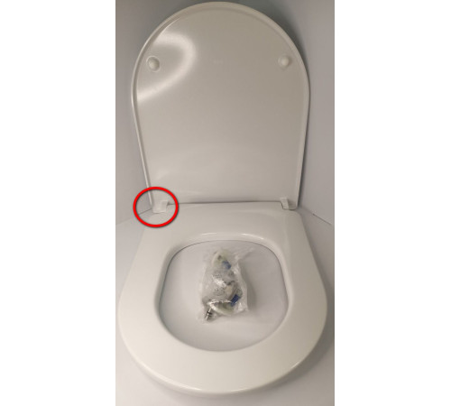 Сиденье с крышкой для унитаза Roca The Gap Round тонкое SoftClose 801D12007