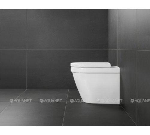 Сиденье для унитаза Villeroy & Boch Architectura с SoftClosing 98M9C101