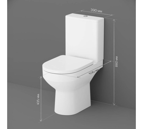 Унитаз-компакт напольный AM.PM Gem безободковый FlashClean без сиденья C708600WH