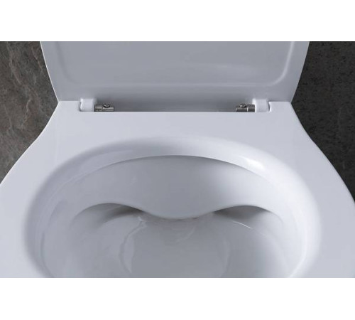 Чаша приставного унитаза Allen Brau Fantasy белый 4.11007.20