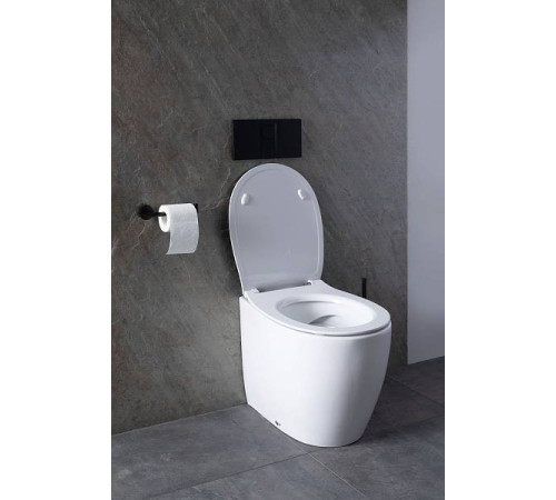 Чаша приставного унитаза Allen Brau Fantasy белый 4.11007.20