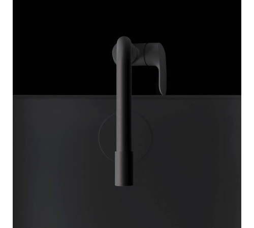 Смеситель для кухни AM.PM Like с каналом для питьевой воды L-излив черный F8005722