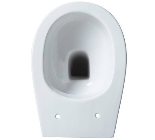 Чаша приставного унитаза Allen Brau Fantasy белый 4.11007.20