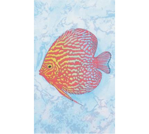 Декор Сокол Бриз Красная рыба 20x33 см D403bAR8