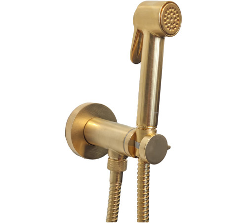 Гигиенический комплект с прогрессивным смесителем Bossini PALOMA BRASS сатинированное золото E37005B.043