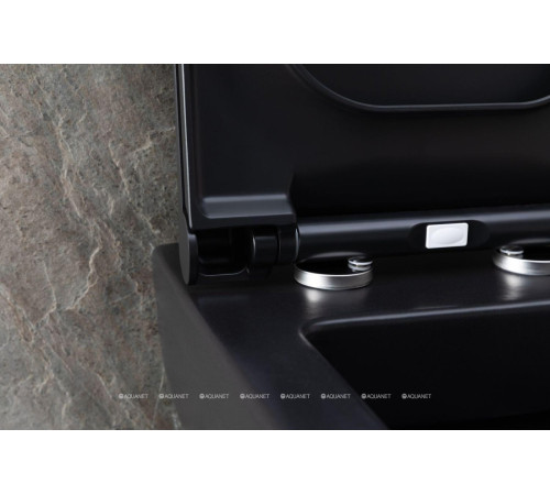 Унитаз подвесной Allen Brau INFINITY 2 Rimless без сиденья 535x340 мм 4.21011.31