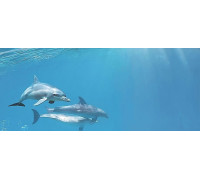 Декор Cerrol Porto Dolphins 1 centro 250х600 мм х9999043951