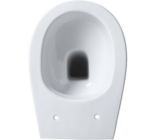 Чаша приставного унитаза Allen Brau Fantasy белый 4.11007.20