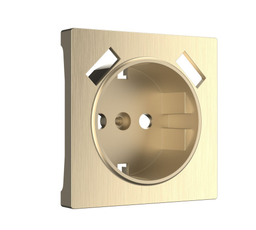 Накладкадля розетки USB (шампань рифленый) W1179510