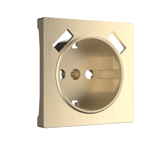 Накладкадля розетки USB (шампань рифленый) W1179510