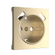 Накладкадля розетки USB (шампань рифленый) W1179510