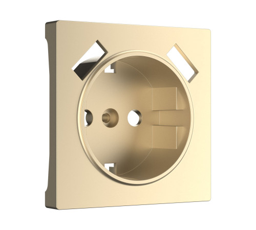 Накладка для USB розетки (шампань) W1179511