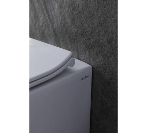 Чаша приставного унитаза Allen Brau Fantasy белый 4.11007.20