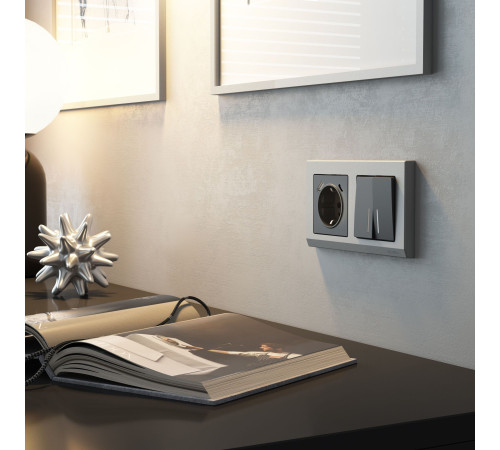 Розетка с заземлением, шторками и USB тип A+C (графит матовый) W1171764
