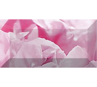 Бордюр рельефный Ceramica Classic Peony 20х10 см br1020D281-2