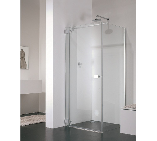 Боковая стенка для душевой кабины Provex E-lite 1000х1950 мм 0005 EW 05 GH