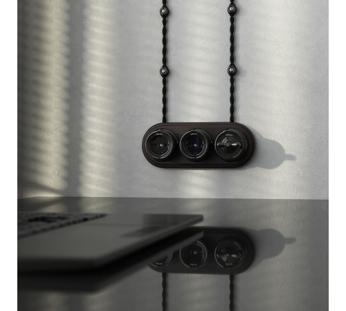 Выключатель на 4 положения двухклавишный черный ретро W5620008