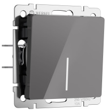 Выключатель одноклавишный с подсветкой (графит акрил) W1110144